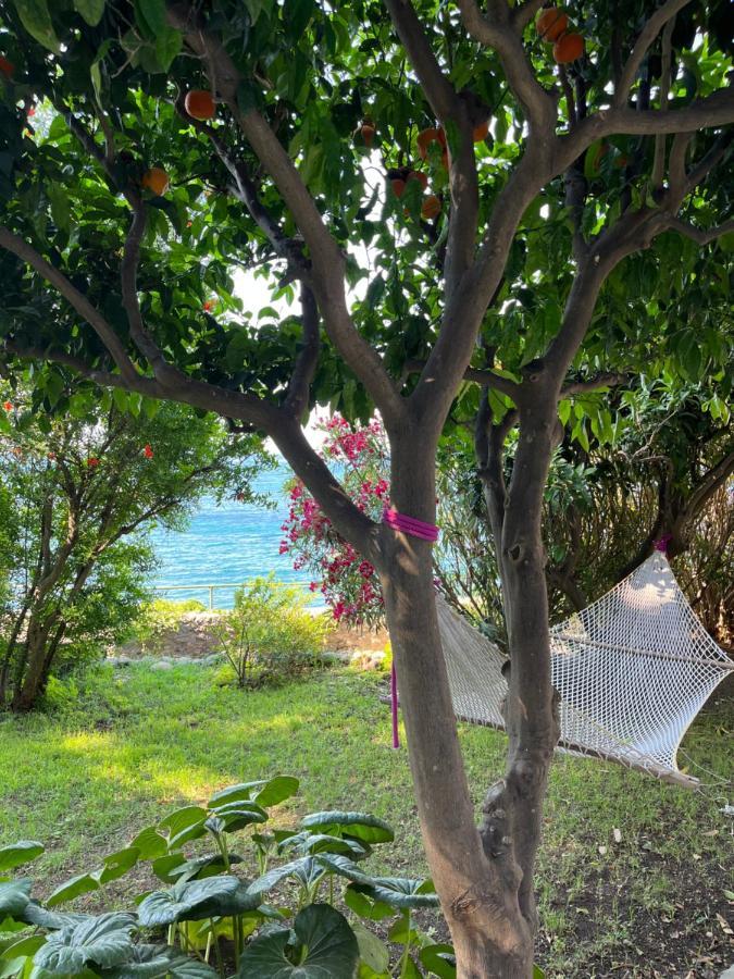Nelinda Waterfront Accommodation Casamicciola Terme Bagian luar foto